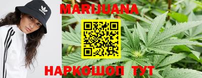 стаф Лесосибирск